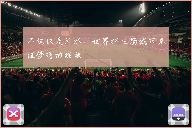 不仅仅是汗水,世界杯主场城市见证梦想的绽放